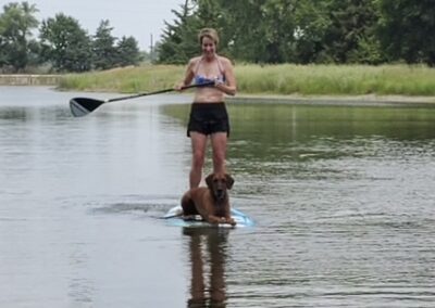 Rafiki, the Rhodesian Ridgeback