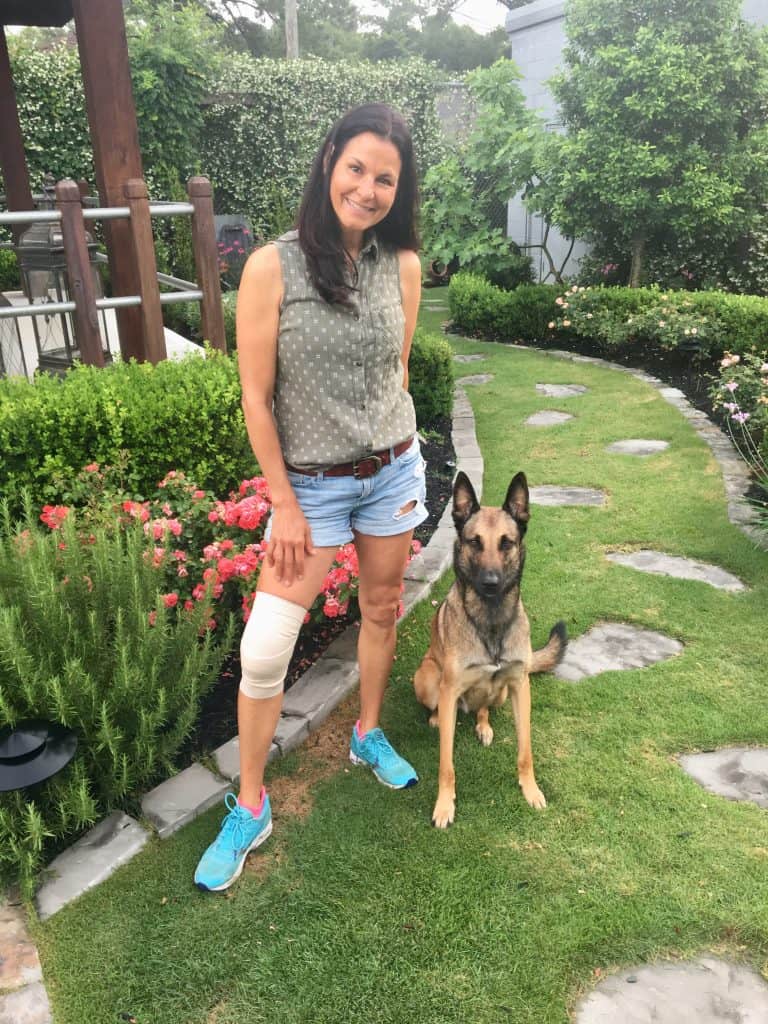 A woman with a German Shepherd dog in a lush garden setting, promoting focus dog training.